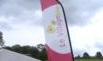 L'agriculture bio en pleine expansion